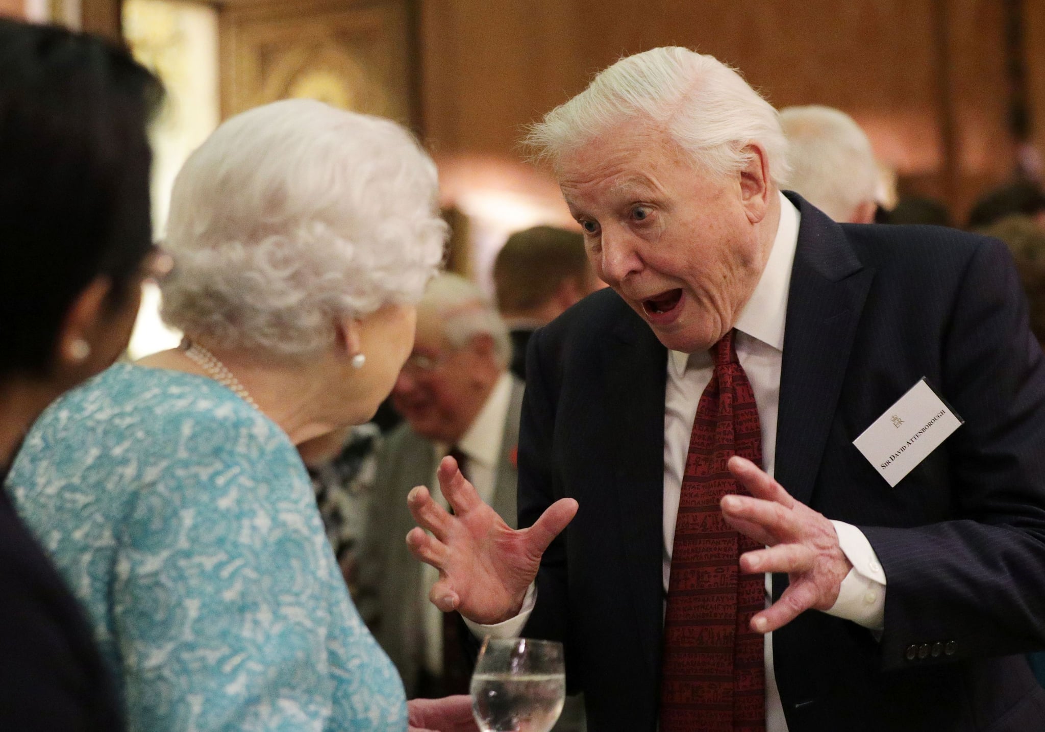 Britain's Queen Elizabeth II (L) reacts as she talks with television presenter David Attenborough during an event at Buckingham Palace in central London on November 15, 2016, to showcase forestry projects that have been dedicated to the new conservation initiative - The Queen's Commonwealth Canopy (QCC). / AFP / POOL / Yui Mok        (Photo credit should read YUI MOK/AFP/Getty Images)