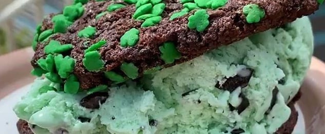 WDW's Double Chocolate Mint Ice Cream Sandwich Looks Delish