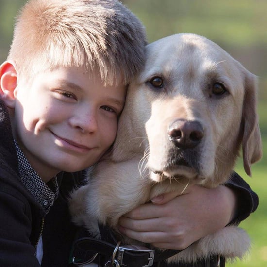 Dog Helps Boy With Autism