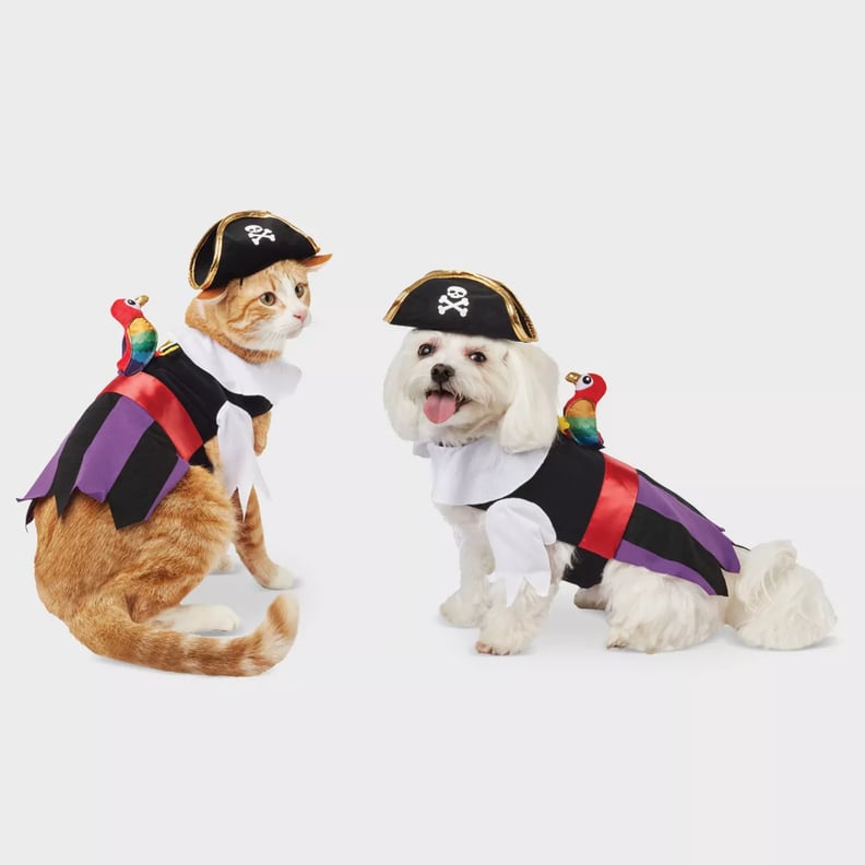 Pirate Dog and Cat Costume
