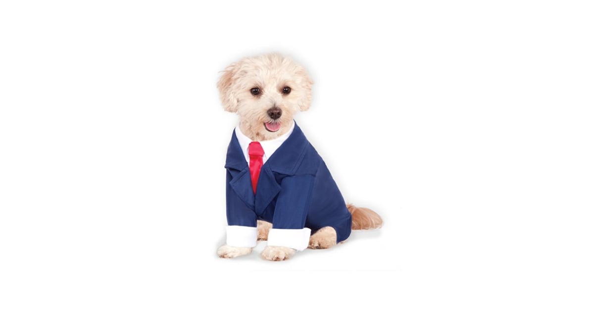 Business Suit Bestselling Amazon Dog Costumes For Halloween 2016