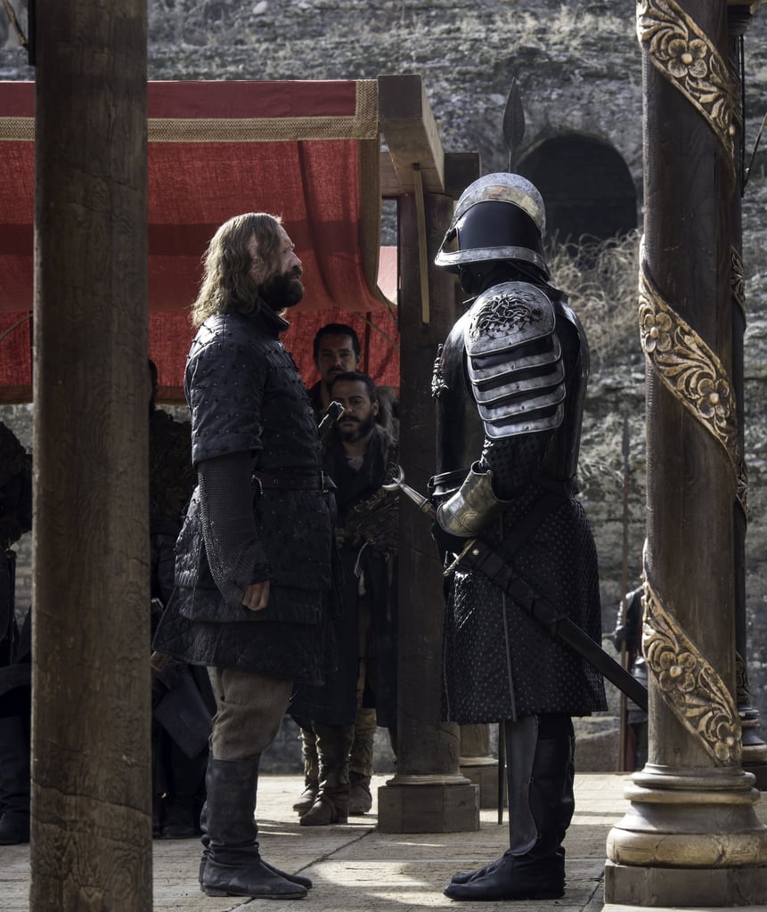 Sandor “the Hound” Clegane