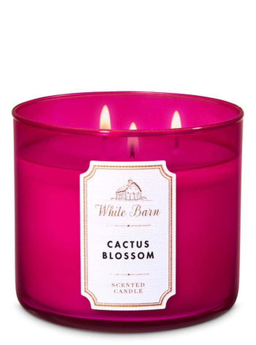 Cactus Blossom Signature Single Wick Candle - White Barn