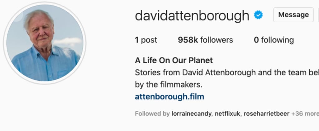 Sir David Attenborough Joins Instagram at the Age of 94