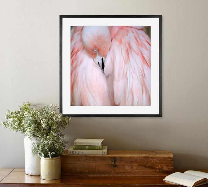 Framed Photograph ($99+)