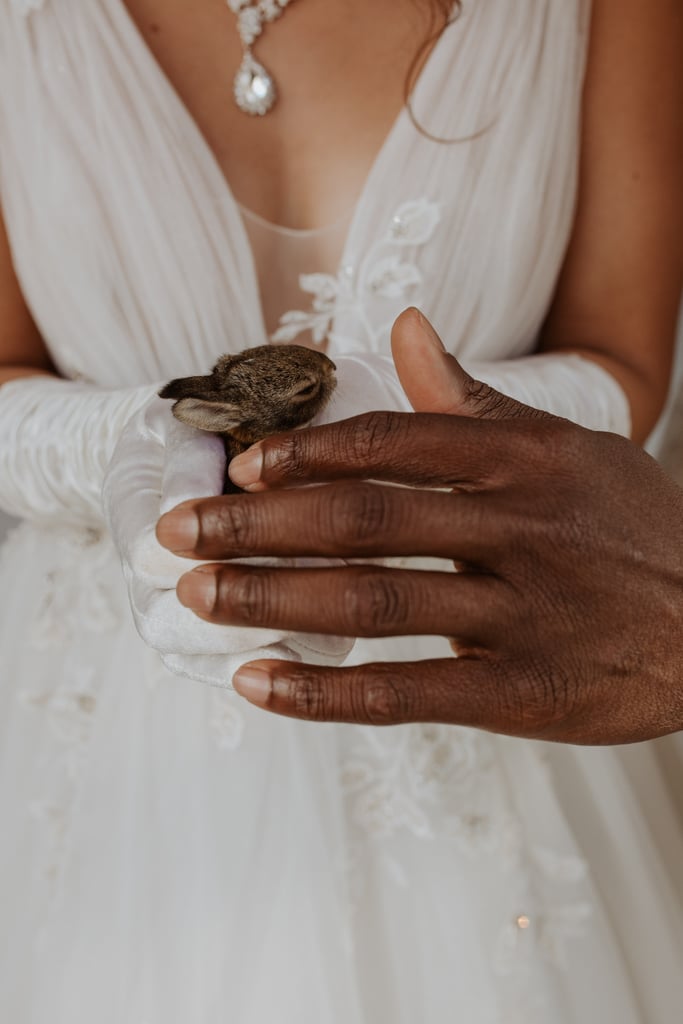 See Photos From This Bridgerton-Inspired Wedding Shoot