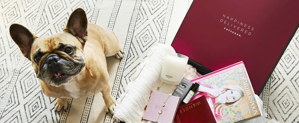 Checklist For a New Pet