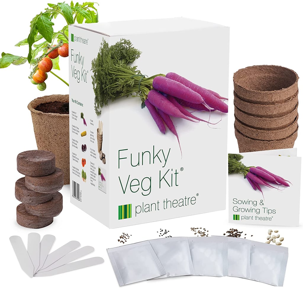 For the Plant Parent: Plant Theatre Funky Veg Garden Starter Kit
