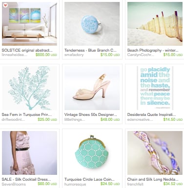 Etsy Store Owner