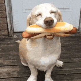 Maybe it's all the barbecued hot dogs . . .