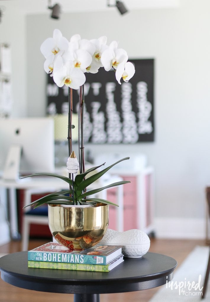 Water Your Orchid With an Ice Cube
