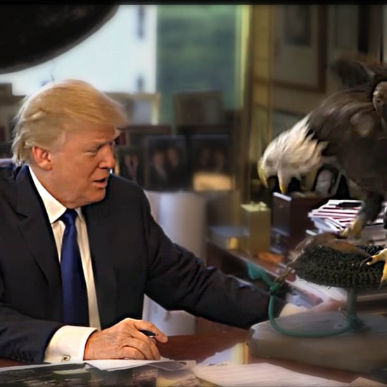 Bald Eagle Attacks Donald Trump