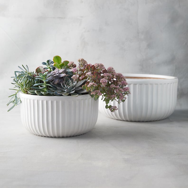 Glazed Earthenware Low Bowl