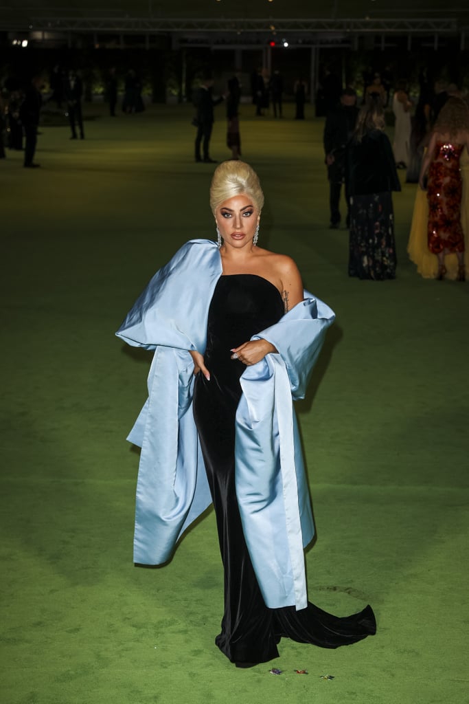 Lady Gaga's Strapless Schiaparelli Dress | Photos