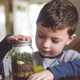 Science Projects For Kids