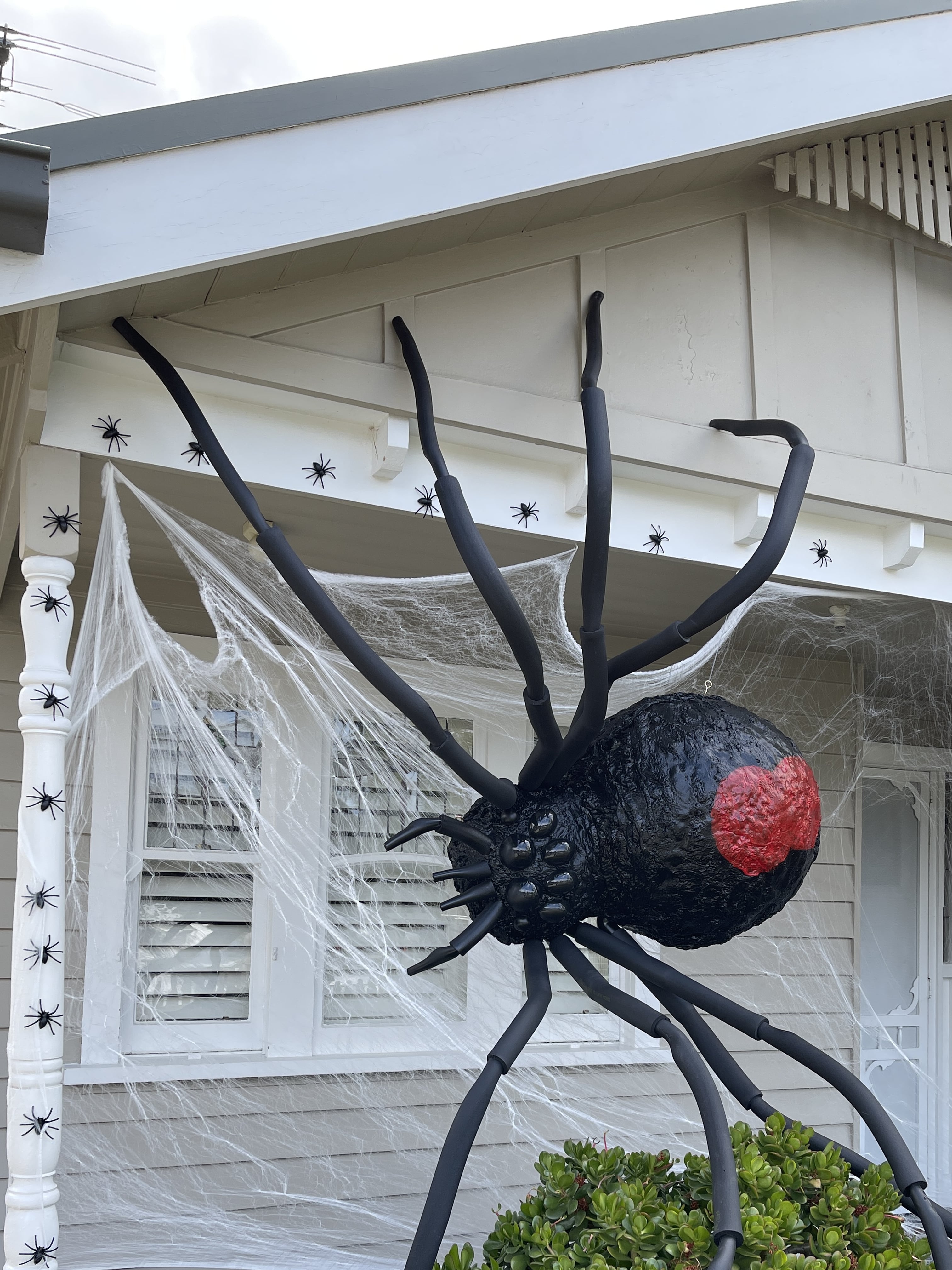 Australian Spider Webs Are The Most Terrifying Thing You Will Ever See