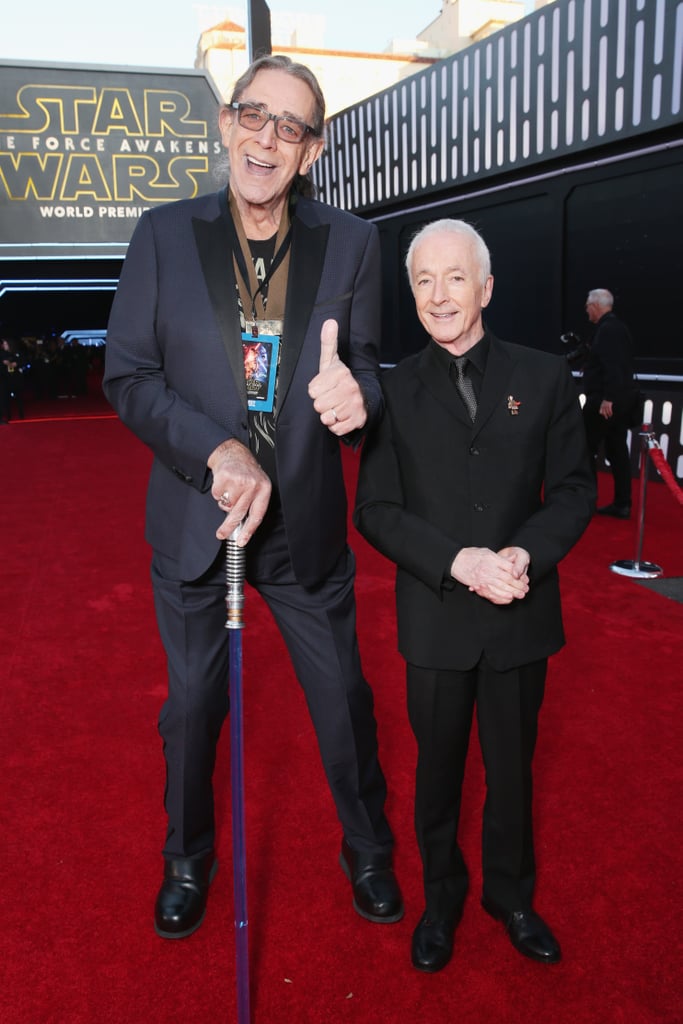 Pictured: Anthony Daniels and Peter Mayhew