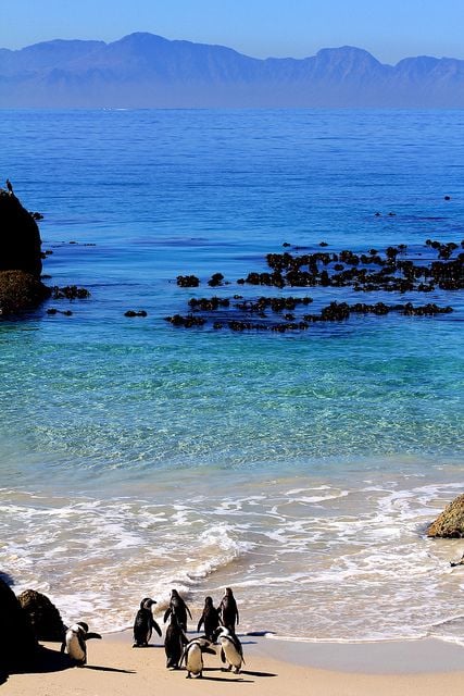 Boulders Beach, South Africa