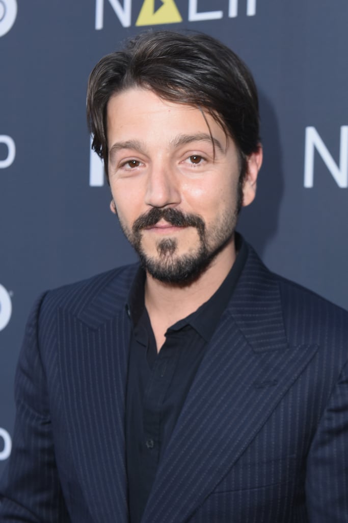 Diego Luna as Félix Gallardo