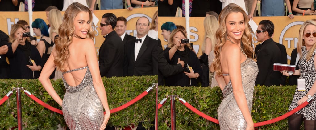 Sofia Vergara's Dress at SAG Awards 2014