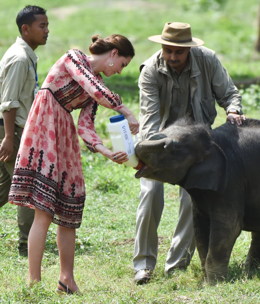 Kate Middleton Wearing a Topshop Dress in India 2016
