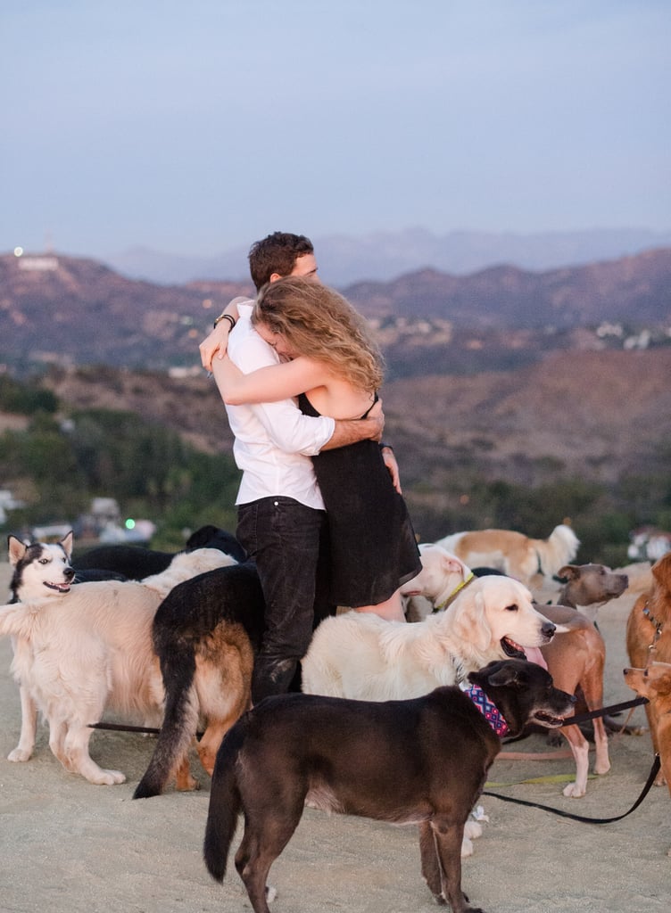 Man Proposes to His Girlfriend With 16 Dogs