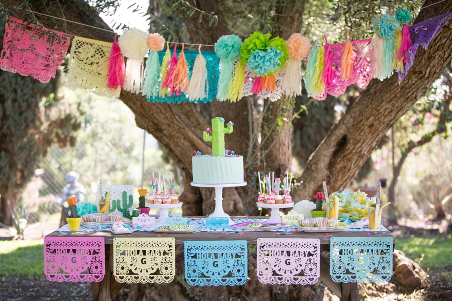 cactus themed baby shower girl