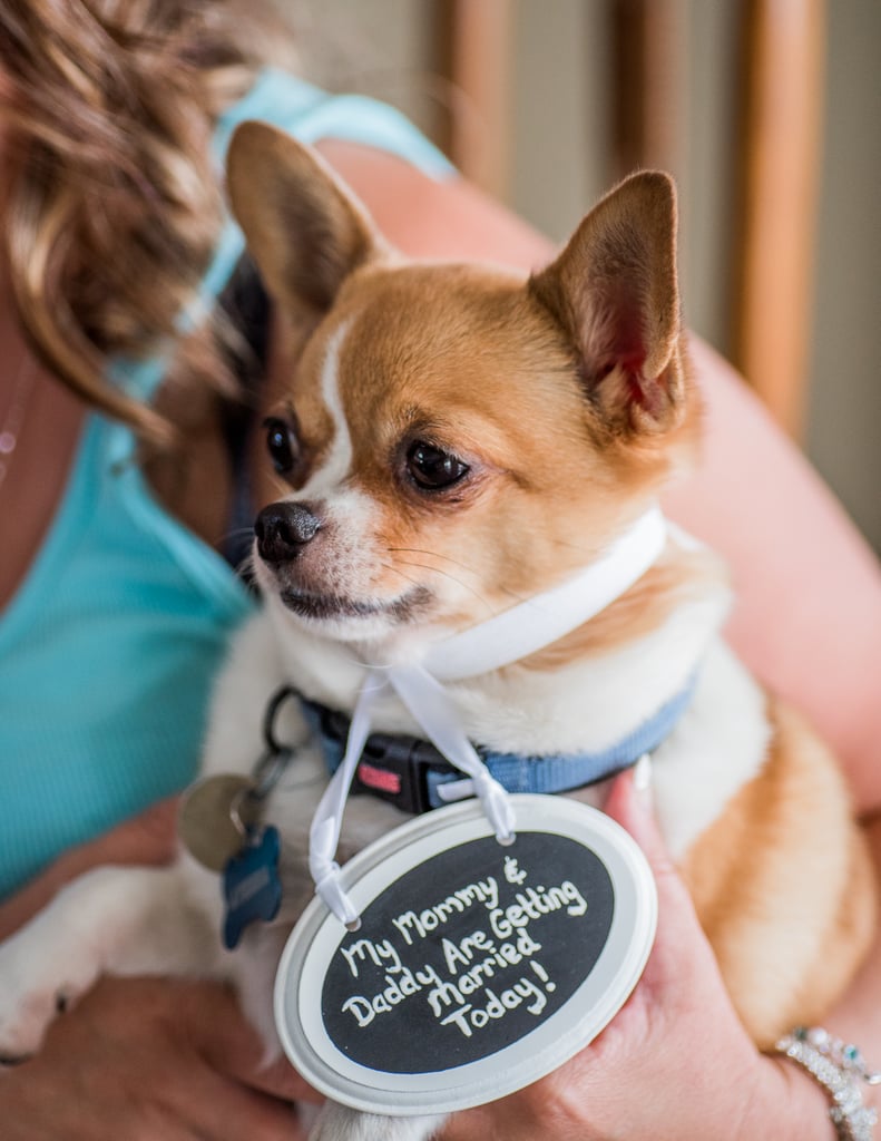 Dogs in Weddings