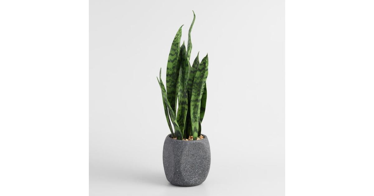 Faux Snake Plant Best Fake Plants That Look Real POPSUGAR Home