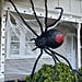 This TikToker's Giant DIY Black Widow Is Giving Us the Creepy Crawlies