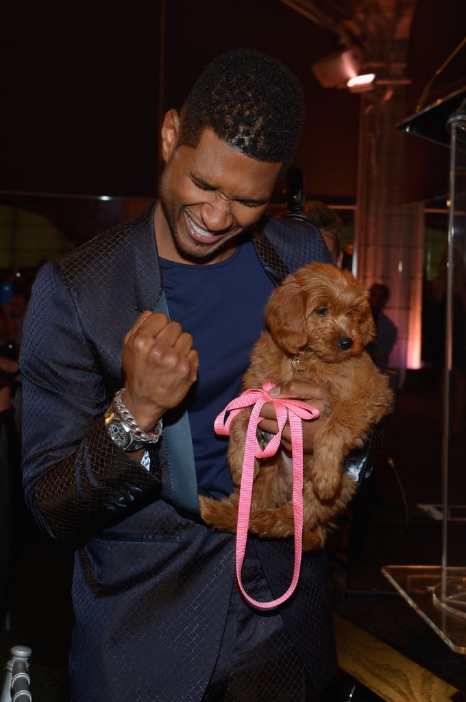 Usher looked happy to walk away from the Pencils of Promise Gala with a new best friend after winning a Goldendoodle puppy with a $12,000 bid in October 2012.