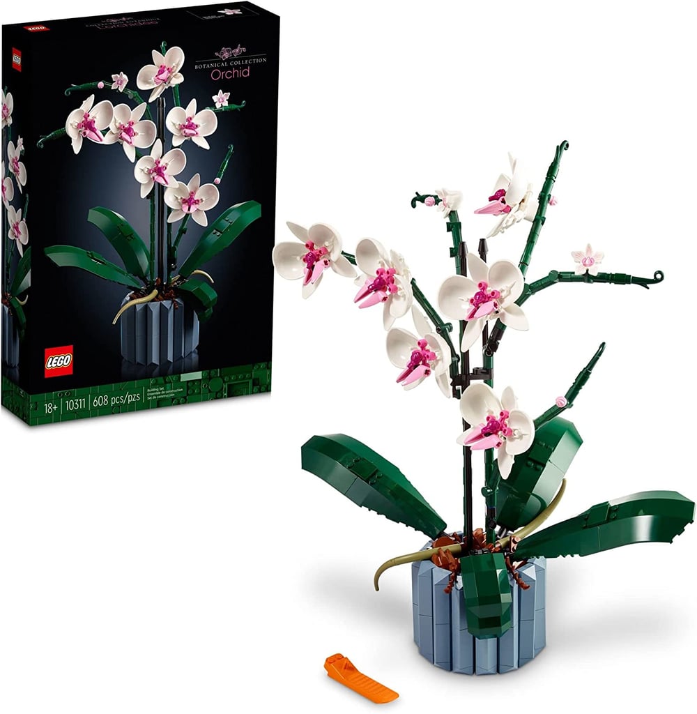 Best Building Set for Adults Under $50