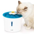 20 Genius Products For Anyone Who Has a Cat