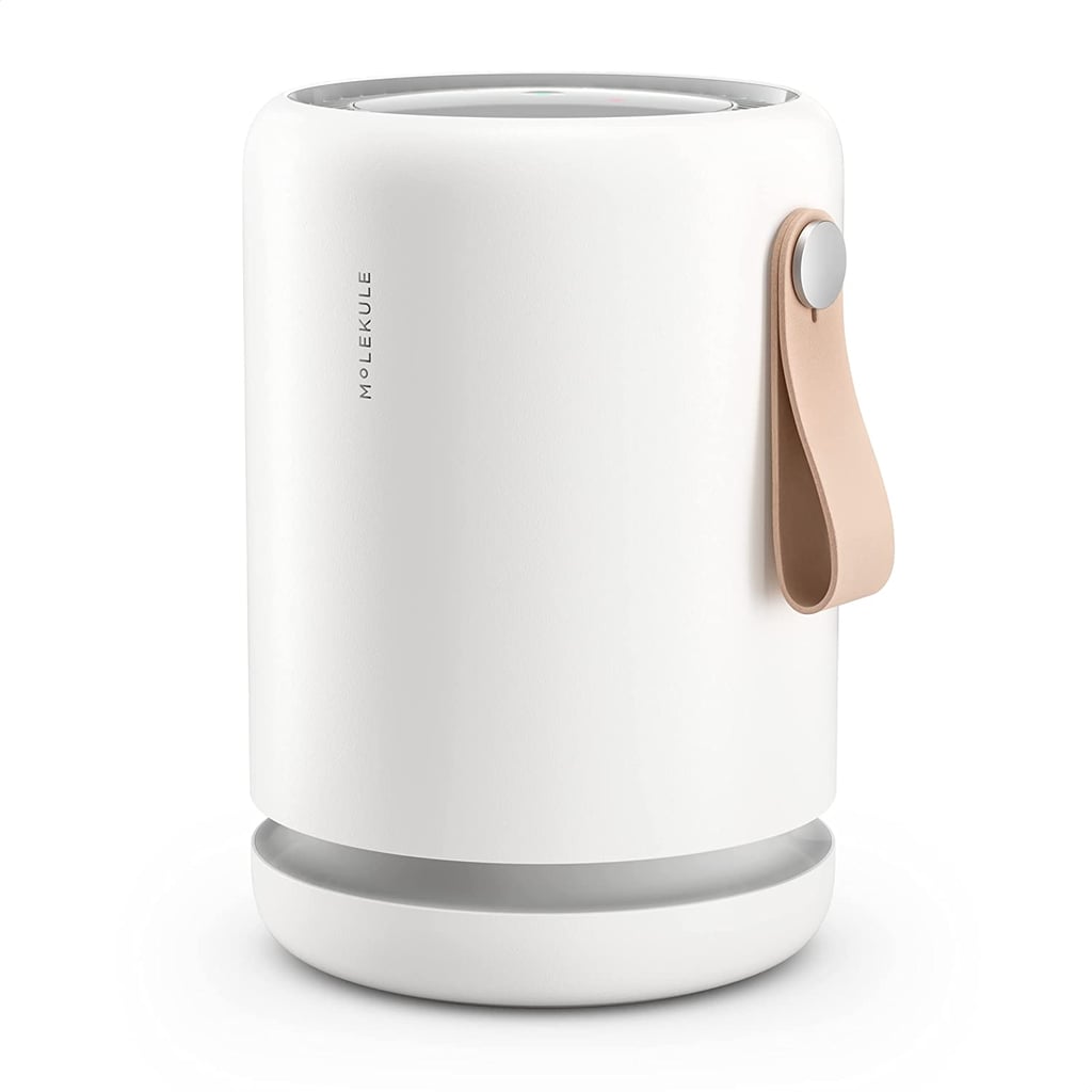 Gifts Under $500 For Women in Their 40s: Molekule Air Mini+ Purifier