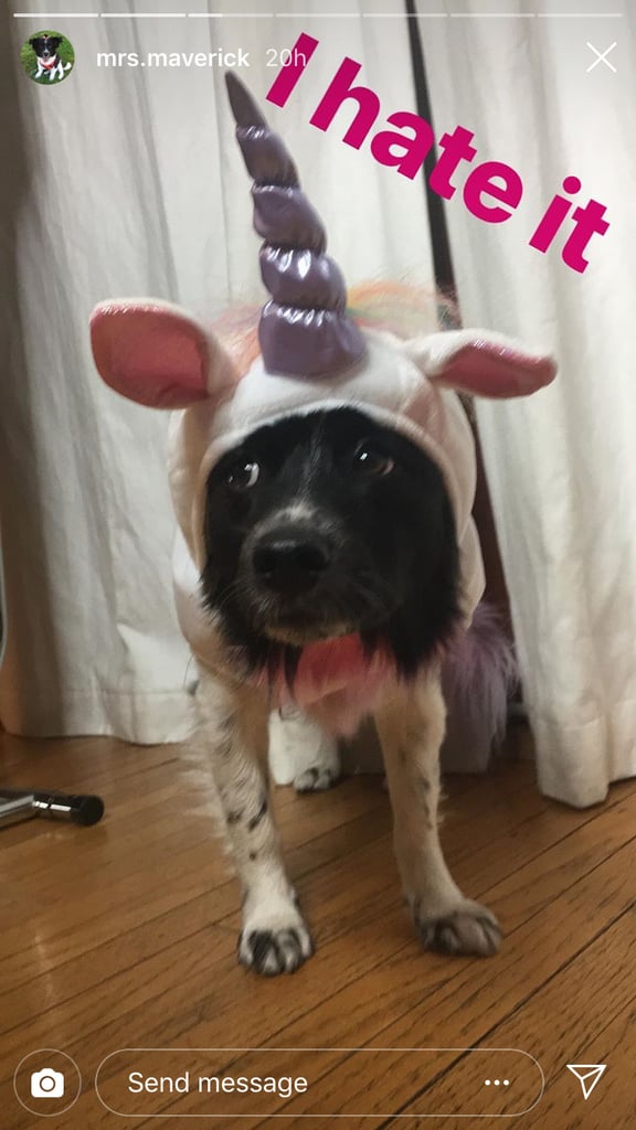 Nina Dobrev and Her Dog's Unicorn Costumes Halloween 2018