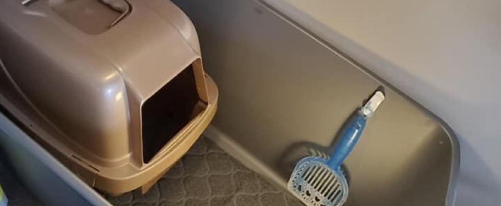 Litter-Box Hack to Stop Cats From Making a Mess on the Floor