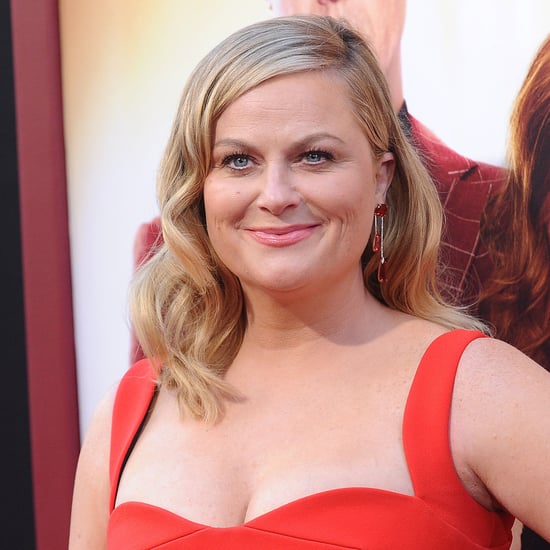 Amy Poehler Wine Country TV Show Details