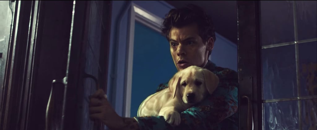 Harry Styles "Kiwi" Music Video