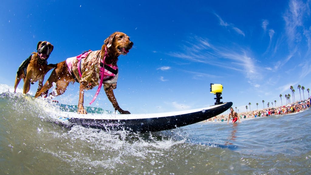 Head over to Outside Magazine to check out more awesome photos from the competition.