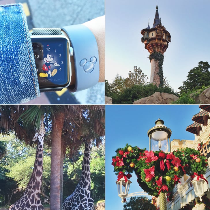 Best Things About Disney World