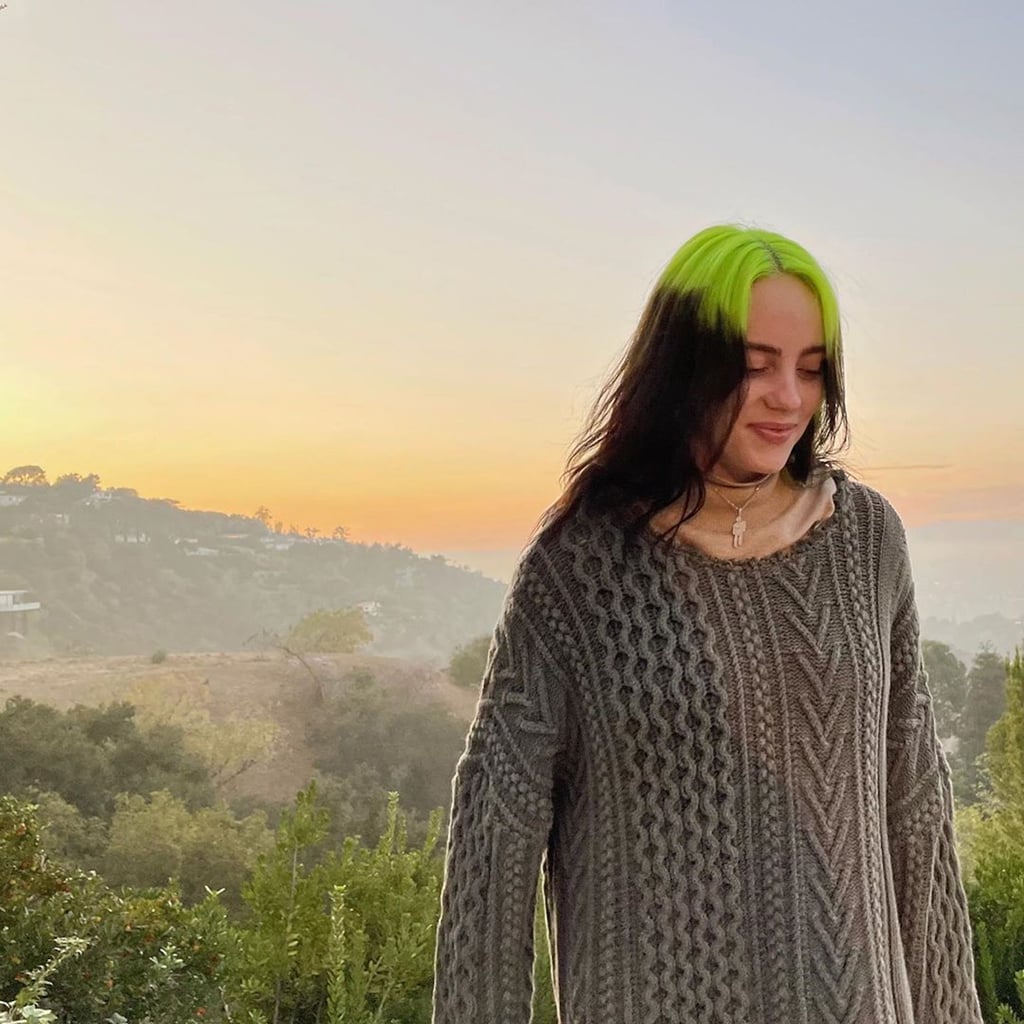 Where to Shop Billie Eilish s Green Sweater on Instagram