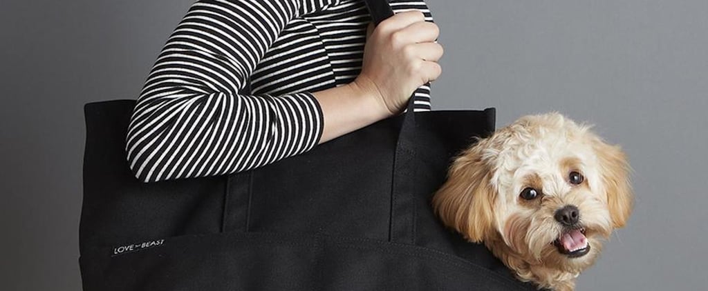 Best Pet Gifts From Nordstrom