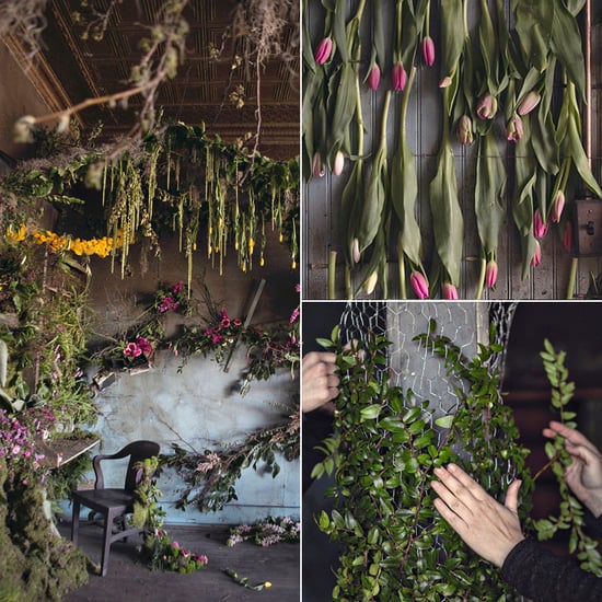Thousands of Flowers Transform an Abandoned Detroit House