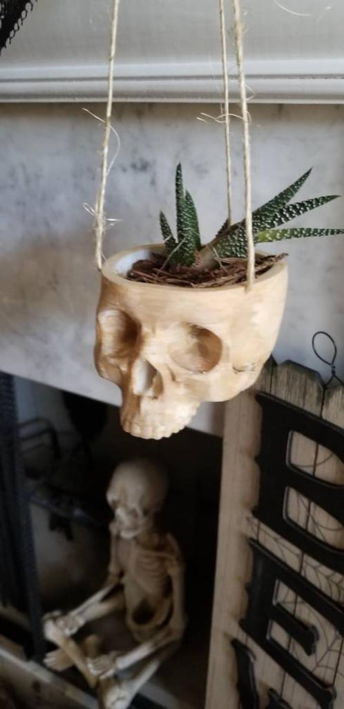 Hanging Skull Planter