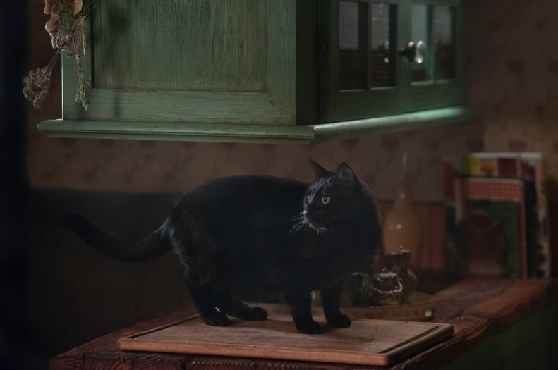 Salem's Classic Black Cat Costume