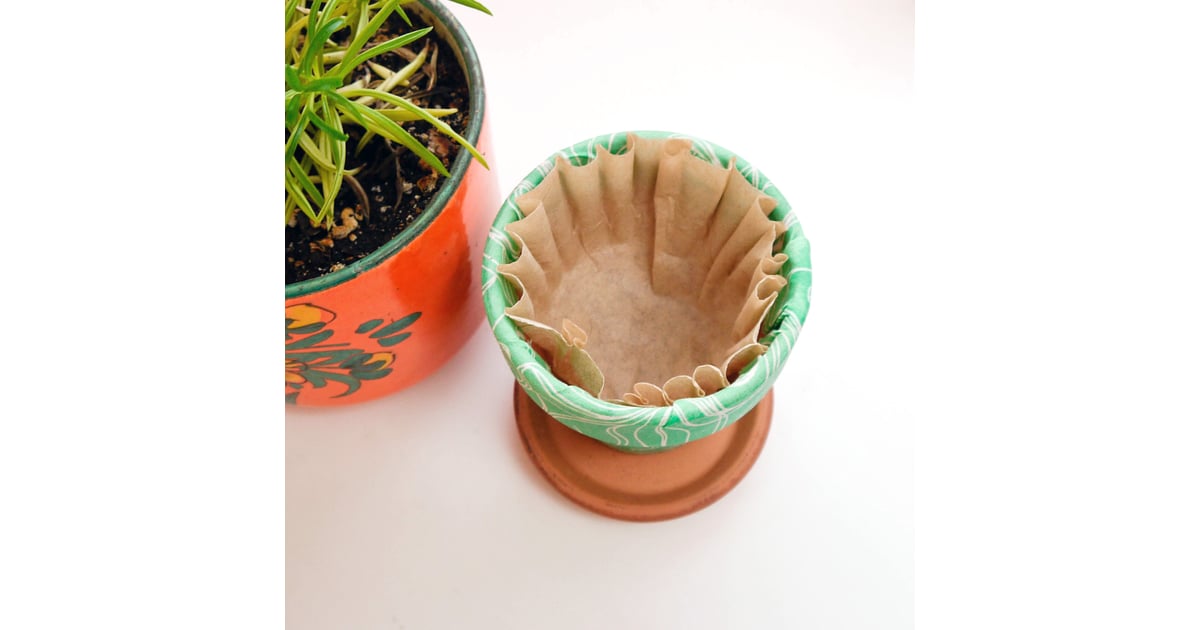 Line Plant Pots With a Coffee Filter POPSUGAR Smart Living