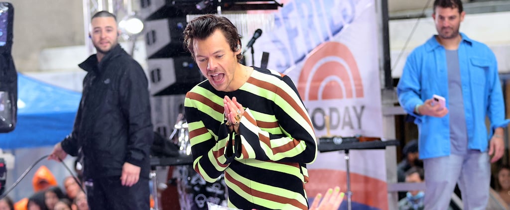 Harry Styles Teases a Fan Who Hit Him With a Chicken Nugget: "I Don't Eat Meat"