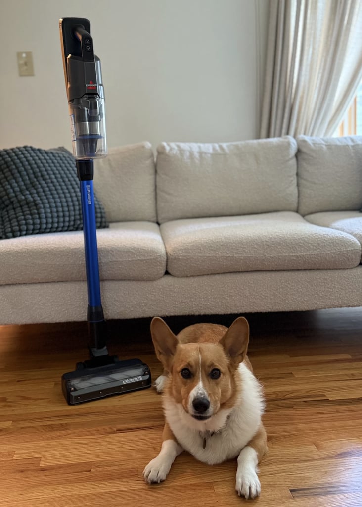 Bissell PowerClean FurFinder Stick Vacuum ($150, originally $260)
Keeping shed fur to a minimum is probably one of the most challenging pet-parent tasks, and one editor finds it virtually impossible without the Bissell PowerClean FurFinder vacuum. The standout feature is the built-in light, which reveals layers of hidden fur that isn't always visible to the naked eye and takes fur-cleaning to another level. Check out more details plus photos in our editor's Bissell PowerClean FurFinder Stick Vacuum review.
Editor Quote: "I nreally appreciate the 3-in-1 design. You can pop off the floor head to use the slimmer stick with a different attachment for corners and tricky angles, or switch to handheld mode for furniture (aka my personal nightmare zone) and car cleanups. It also comes with an upholstery tool for those of us who let our pups on the couch — complete with a built-in fabric strip that grabs onto fur — and a two-in-one crevice and dusting brush for spots like curtain edges and window blinds." — Marisa Petrarca, former contributing shopping editor