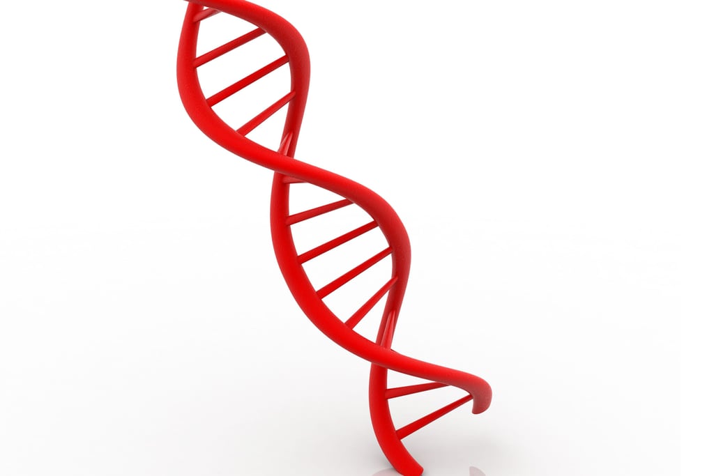 A DNA Strand