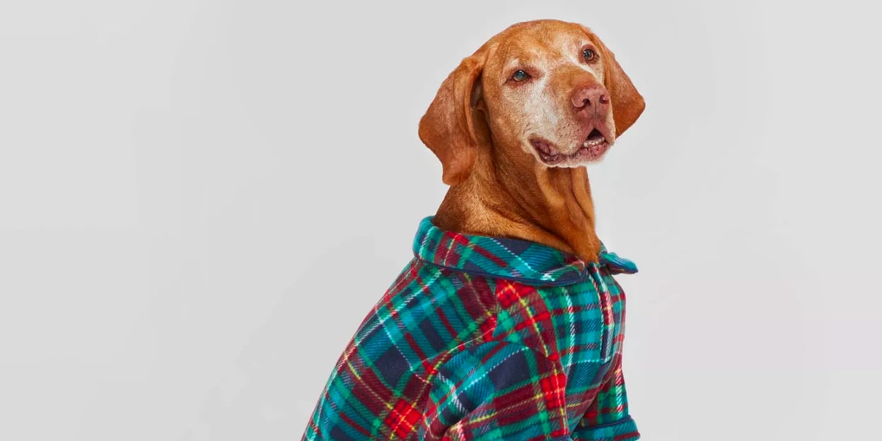 Best Target Dog Pajamas POPSUGAR Pets